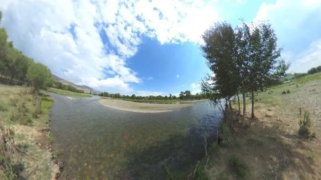 画像7